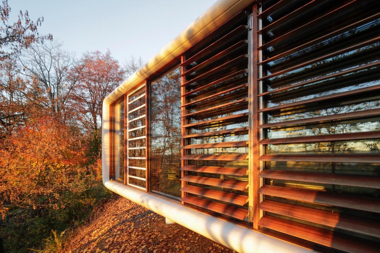 Maillen Domaine De Ronchinne - Insolites מראה חיצוני תמונה